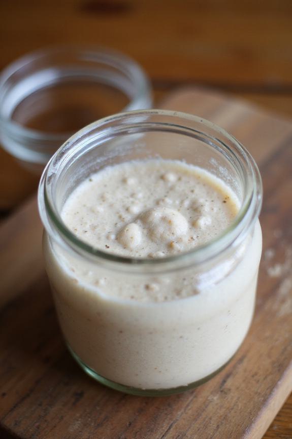 gluten free sourdough starter instructions